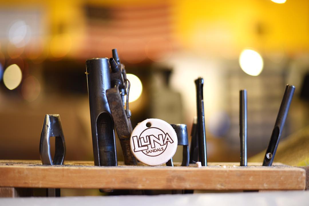 p15591329_1448856321821326_5440252356858343455_o